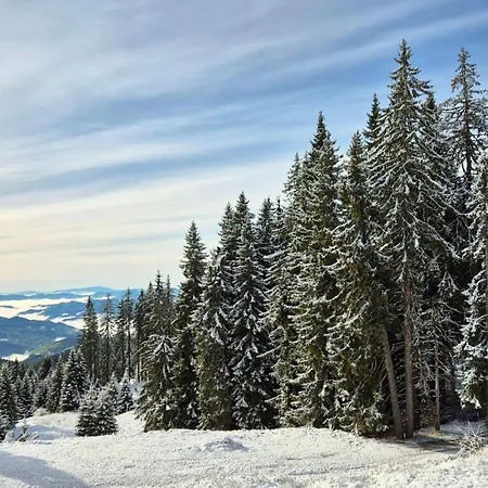Apartamento Tulip Deluxe, Grand Pamporovo