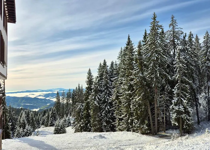 Apartmán Tulip Deluxe, Grand Pamporovo