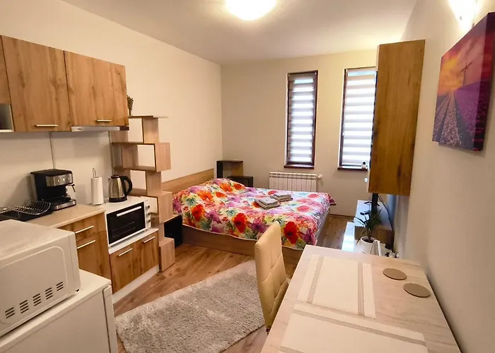 Tulip Deluxe, Grand *