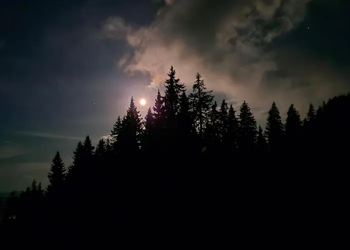 Tulip Deluxe, Grand Apartmán *